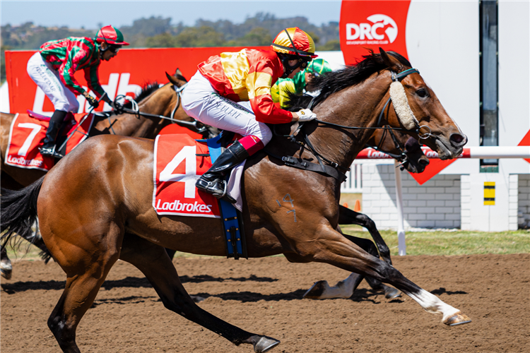 Tasmanian racing.