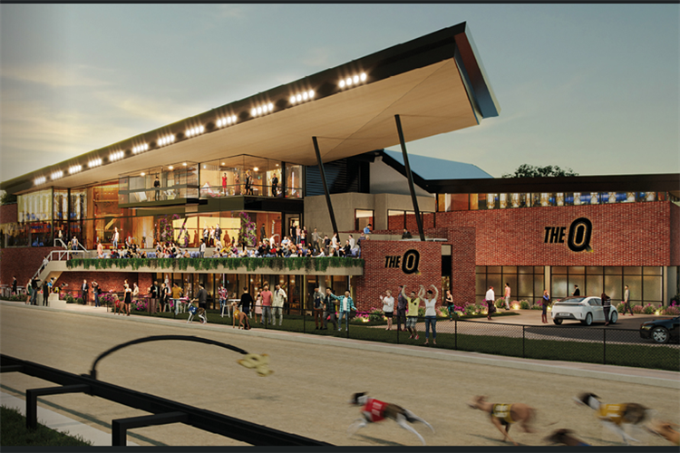 Greyhound Racing at The Q in Queensland