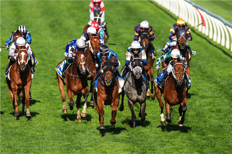 HALF YOURS wins the Caulfield Cup