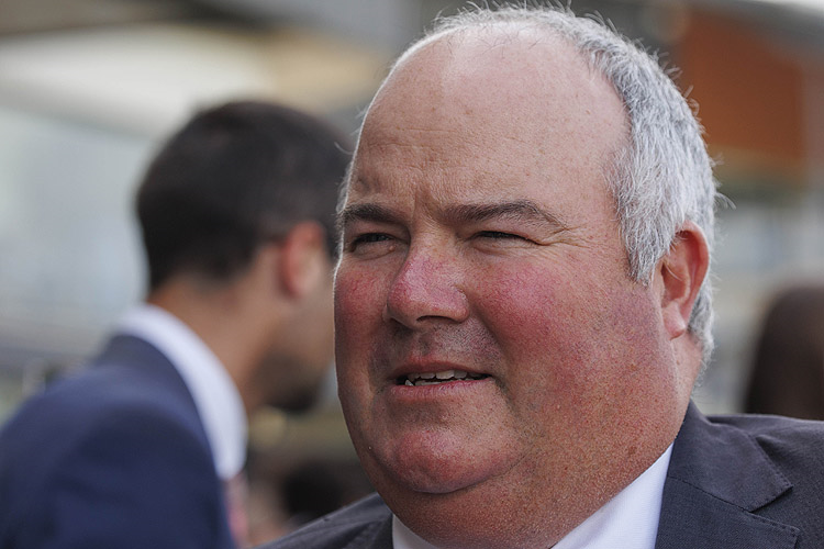 Trainer : BRAD WIDDUP