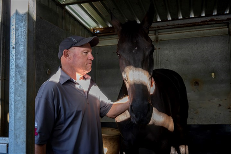 Liam Birchley with Dream Smart at his Caloundra barn.