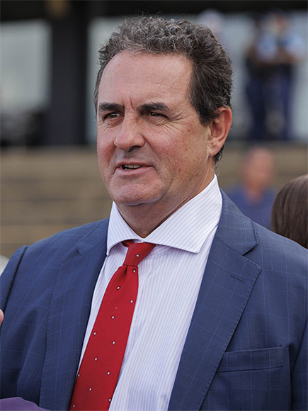 Trainer : MICHAEL FREEDMAN