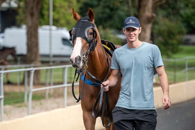 Trainer : NICK KNEEBONE