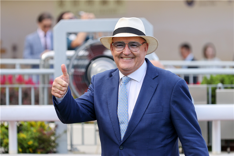 Trainer : NZ DAVID HAYES
