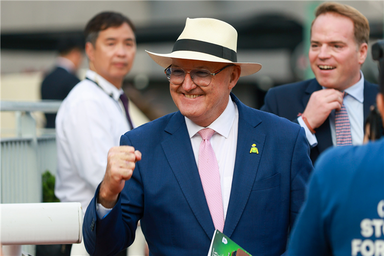 Trainer : DAVID HAYES