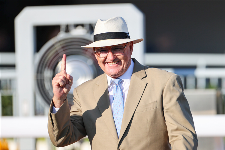 Trainer : NZ DAVID HAYES