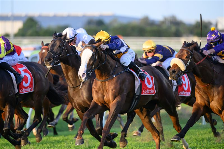 ABOUNDING winning the LADBROKES BRC SPRINT at Doomben in Australia.