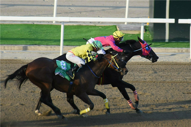 ACE OF DIAMONDS (Pink)