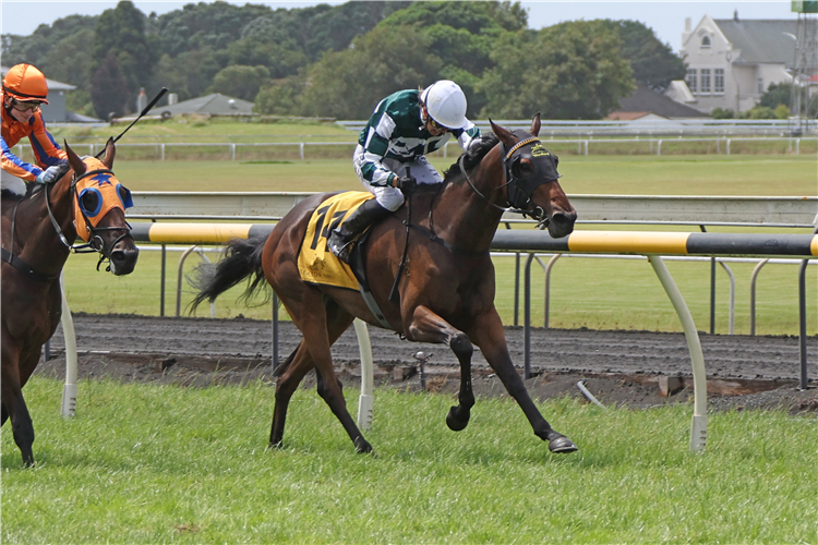 ACER winning the GRANGEWILLIAM STUD OAKS PRELUDE