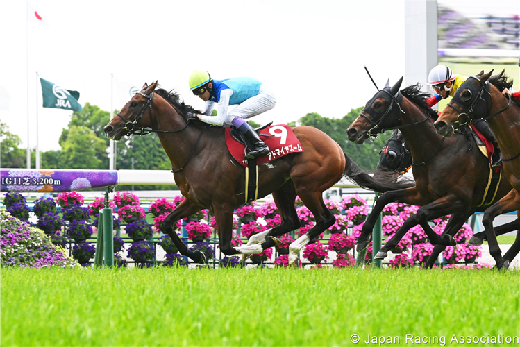 ADMIRE ZOOM winning the Milers Cup at Kyoto in Japan.