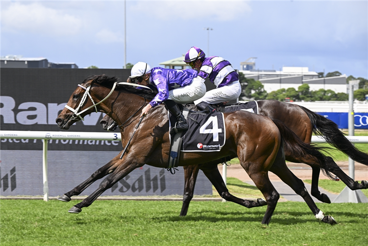 AELIANA winning the RANVET STAKES at Rosehill in Australia.