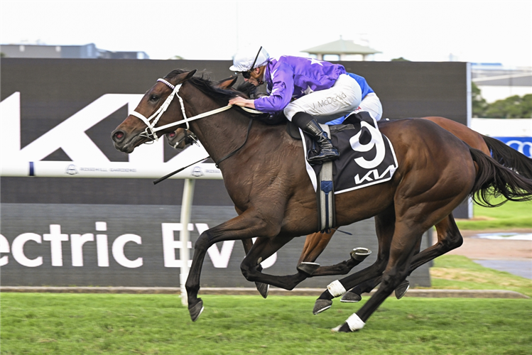AELIANA winning the KIA TANCRED STAKES at Rosehill in Australia