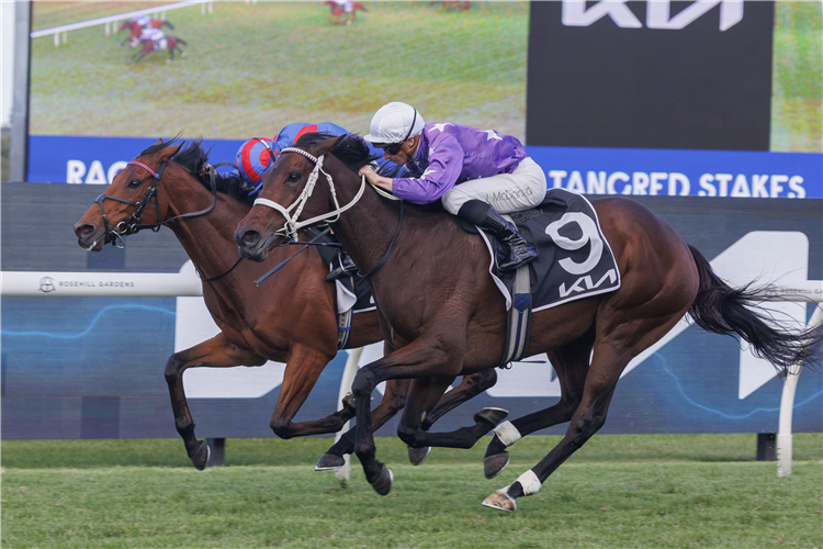 AELIANA winning the KIA TANCRED STAKES