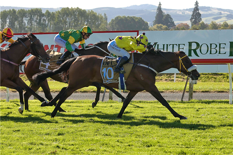 ALADDINS JEM winning the ODT SOUTHERN MILE FINAL