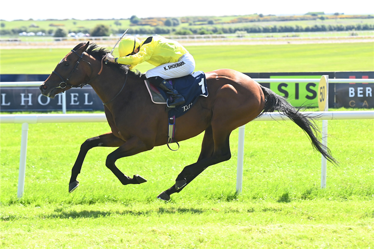 ALMAQAM winning the The Tattersalls Gold Cup (Group 1) (G1) at Curragh in Ireland.