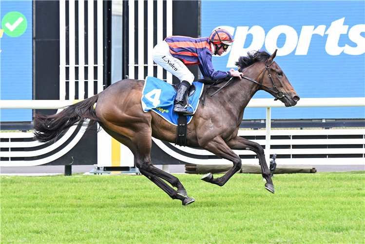 Almost An Angel winning the Sportsbet Race Previews Handicap at Caulfield Heath in Australia.