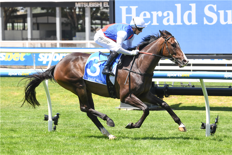 AMBASSADORIAL winning the Herald Sun Handicap at Caulfield in Australia.