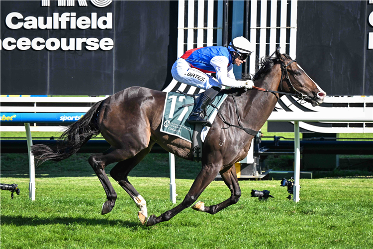 AMBASSADORIAL winning the Tobin Brothers Celebrating Lives Easter Cup at Caulfield in Australia.