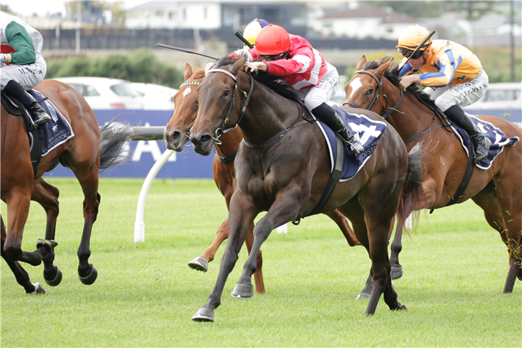 「小情小爱」夺冠