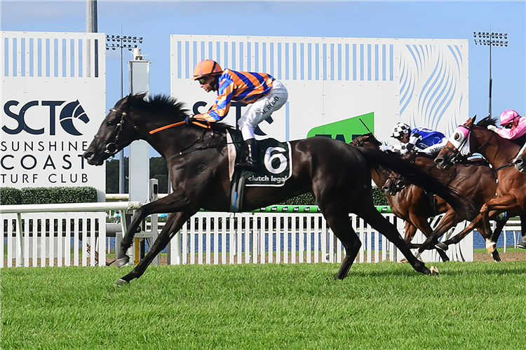 ANEMACORE winning the COASTLINE BMW SUNSHINE COAST CUP