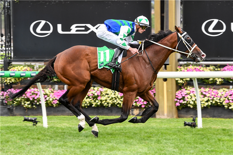 ARCORA winning the TAB Australian Cup Prelude at Flemington in Australia.