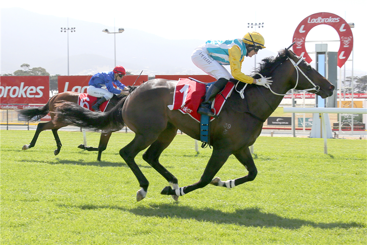 ARISTOPOLOS winning the Magic Millions 2YO Classic Hobart in Australia.