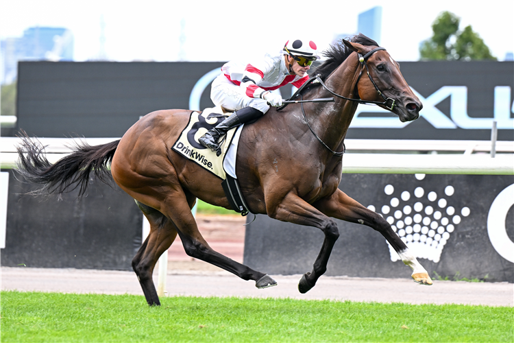 ASTRAL FLAME winning the Kirin Ichiban Trophy at Flemington in Australia.