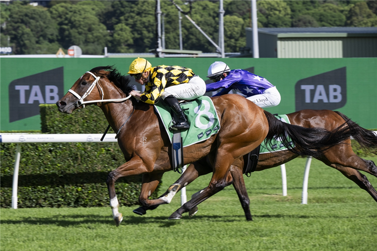 AUTUMN GLOW winning the TAB VERRY ELLEEGANT STAKES at Randwick in Australia.