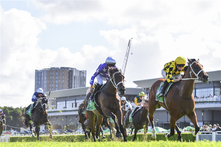 AUTUMN GLOW winning the Tab Verry Elleegant Stakes