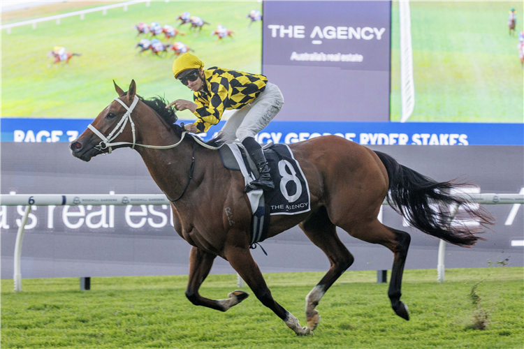AUTUMN GLOW winning the THE AGENCY GEORGE RYDER STAKES