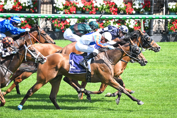 Aztec Ruler (white colours) was a narrow runner-up in last year’s Standish Handicap.