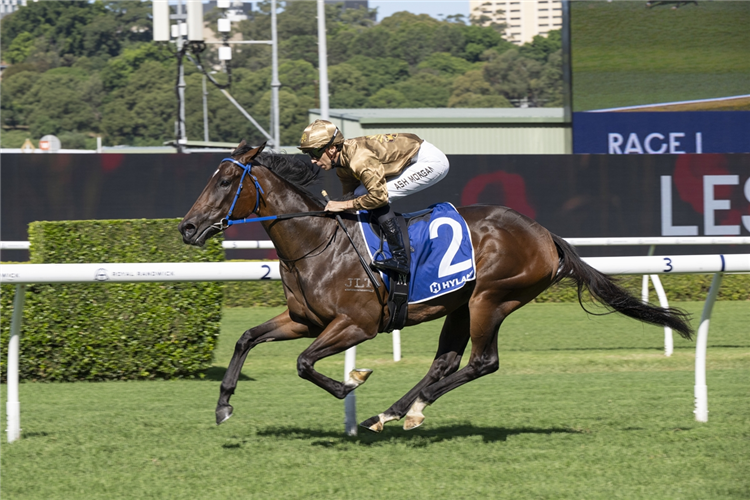 BANGKOK HOTTIE winning the HMAS SYDNEY HANDICAP at Royal Randwick in Australia.