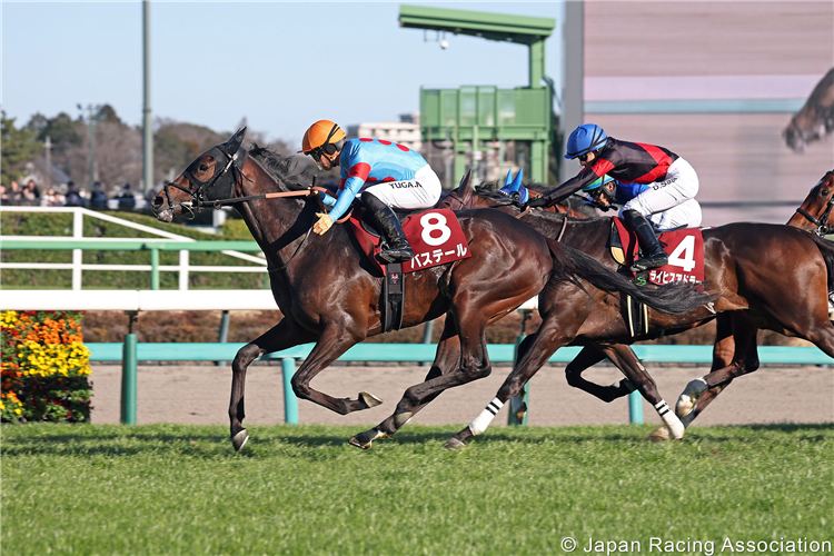 BASSE TERRE winning the Deep Impact Kinen at Nakayama in Japan.