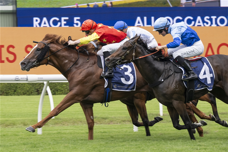 BEADMAN winning the ALL OCCASION CRUISES FIREBALL STAKES at Randwick in Australia.
