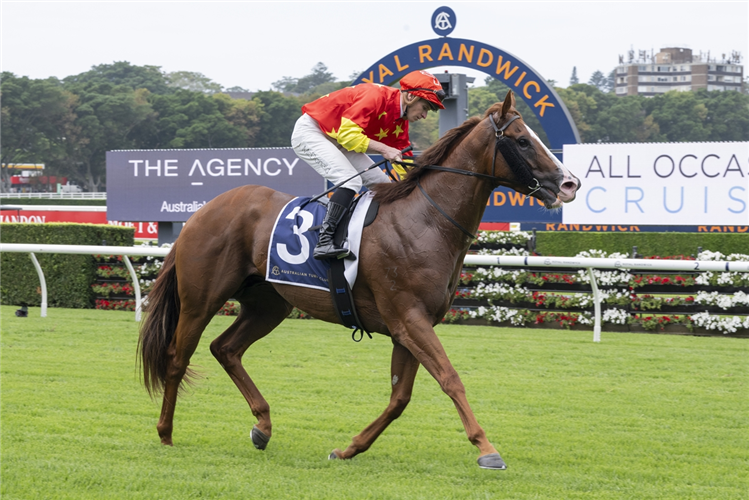 BEADMAN winning the ALL OCCASION CRUISES FIREBALL STAKES at Randwick in Australia.
