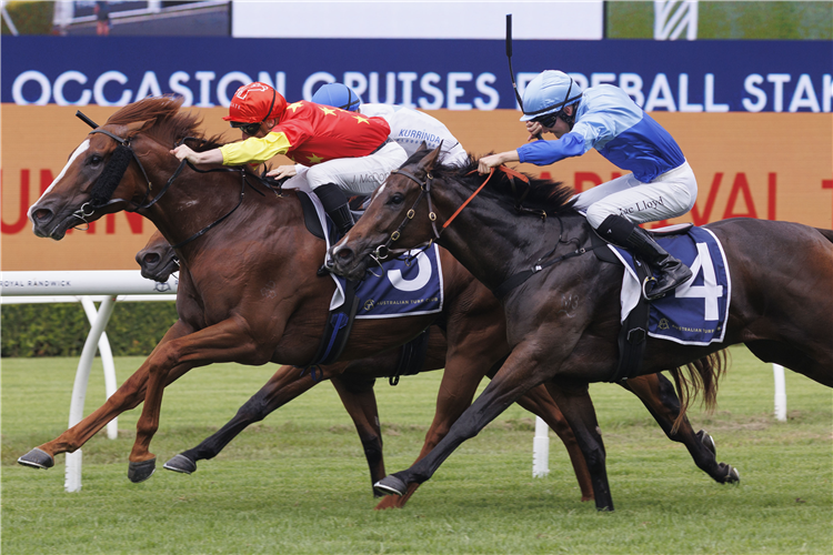 BEADMAN winning the ALL OCCASION CRUISES FIREBALL STAKES