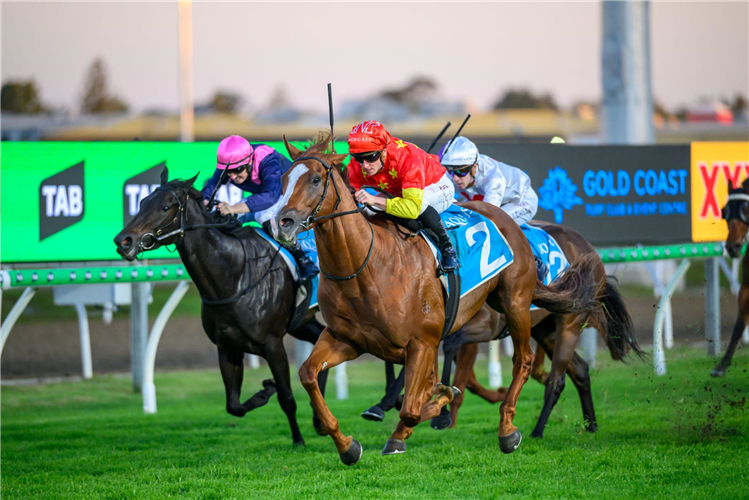 BEADMAN winning the BRANDONS ELECTRICAL GOLD COAST GUINEAS at Gold Coast in Australia.