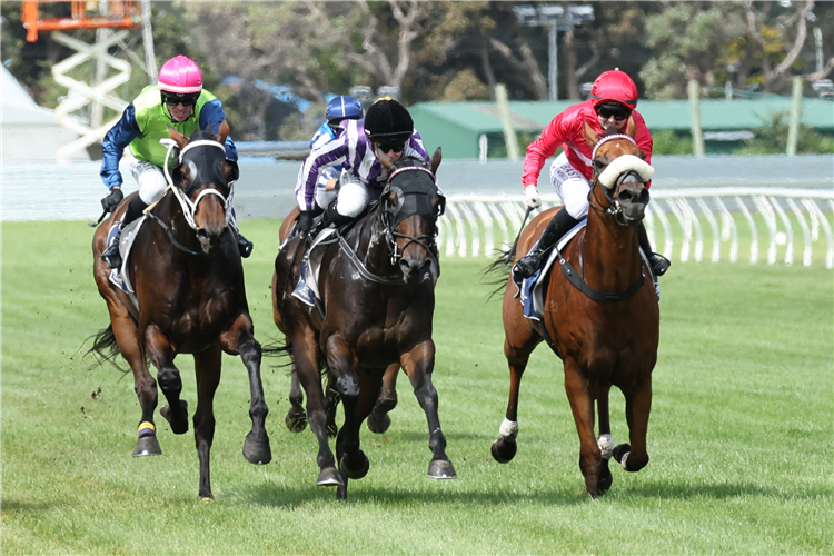 BEDTIME STORY winning the SHANE STONE BUILDERS OPN