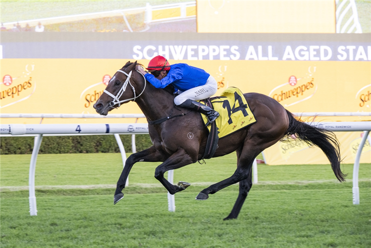 BEIWACHT winning the SCHWEPPES ALL AGED STAKES at Randwick in Australa.