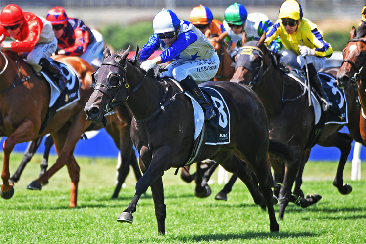 BELLE CHEVAL winning the EAGLE TECHNOLOGY UNCLE REMUS STAKES