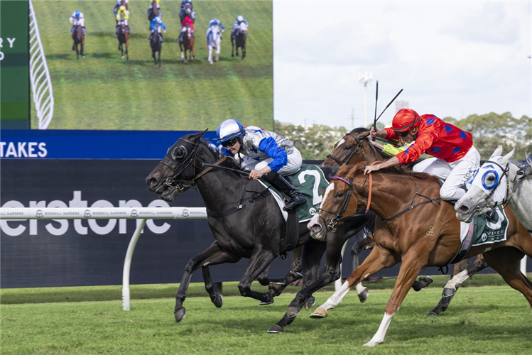 BELLE CHEVAL winning the VINERY STUD STAKES at Rosehill in Australia.