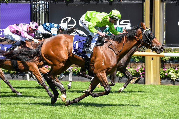 「伯克利广场」