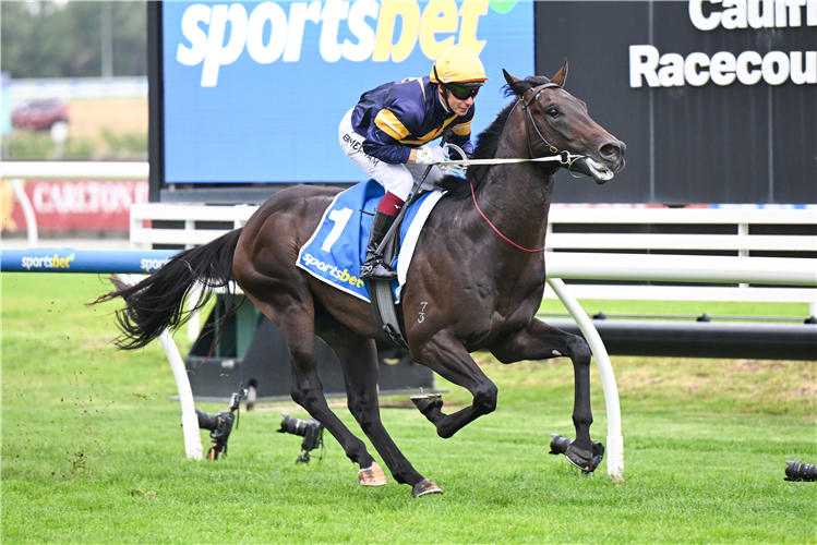 BIG SKY winning the Sportsbet Chairman's Stakes at Caulfield in Australia.