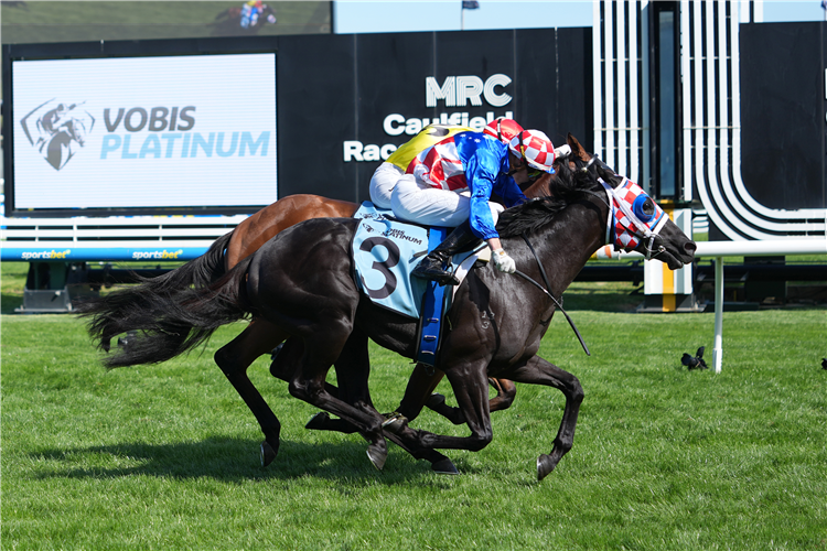 「大人物」夺冠决胜赛