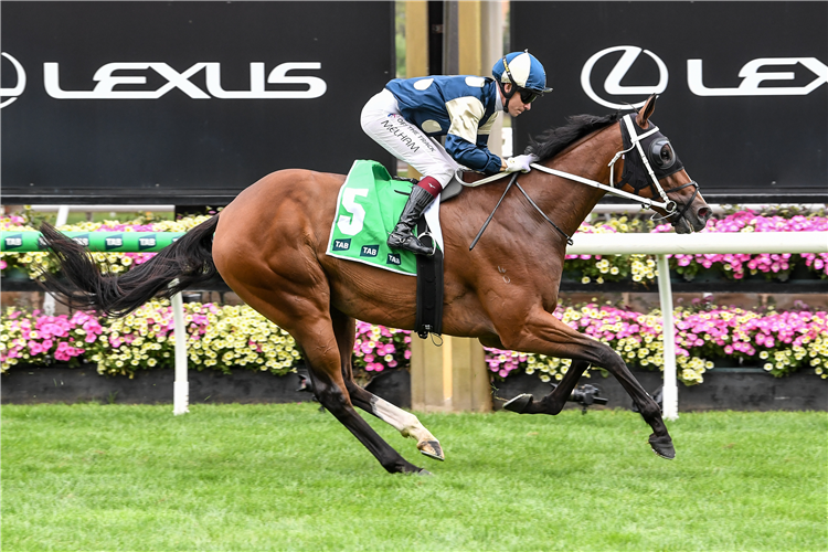 「天鸟侠义」夺冠布莱米锦标赛