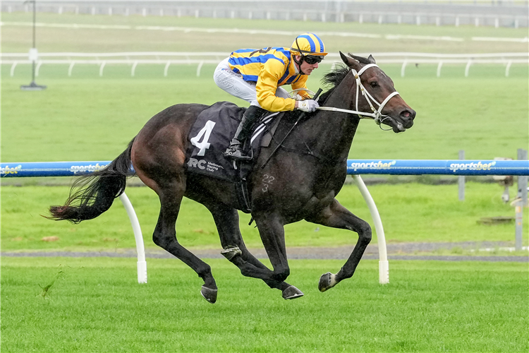 BLIND RAISE winning the Happy 50th to Nick and Jamie Gold at Sportsbet Sandown Lakeside in Australia.
