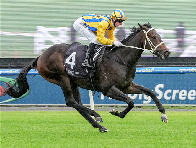 BLIND RAISE winning the Happy 50th to Nick and Jamie Gold at Sportsbet Sandown Lakeside in Australia.