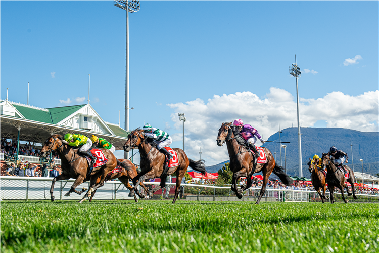 BLONDE STAR winning the Ladbrokes Hobart Cup at Hobart in Australia.