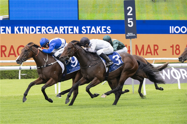 BLUE DOOR winning the WIDDEN KINDERGARTEN STAKES at Randwick in Australia.