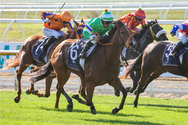 BONA SFORZA winning the NZB INSURANCE STAKES